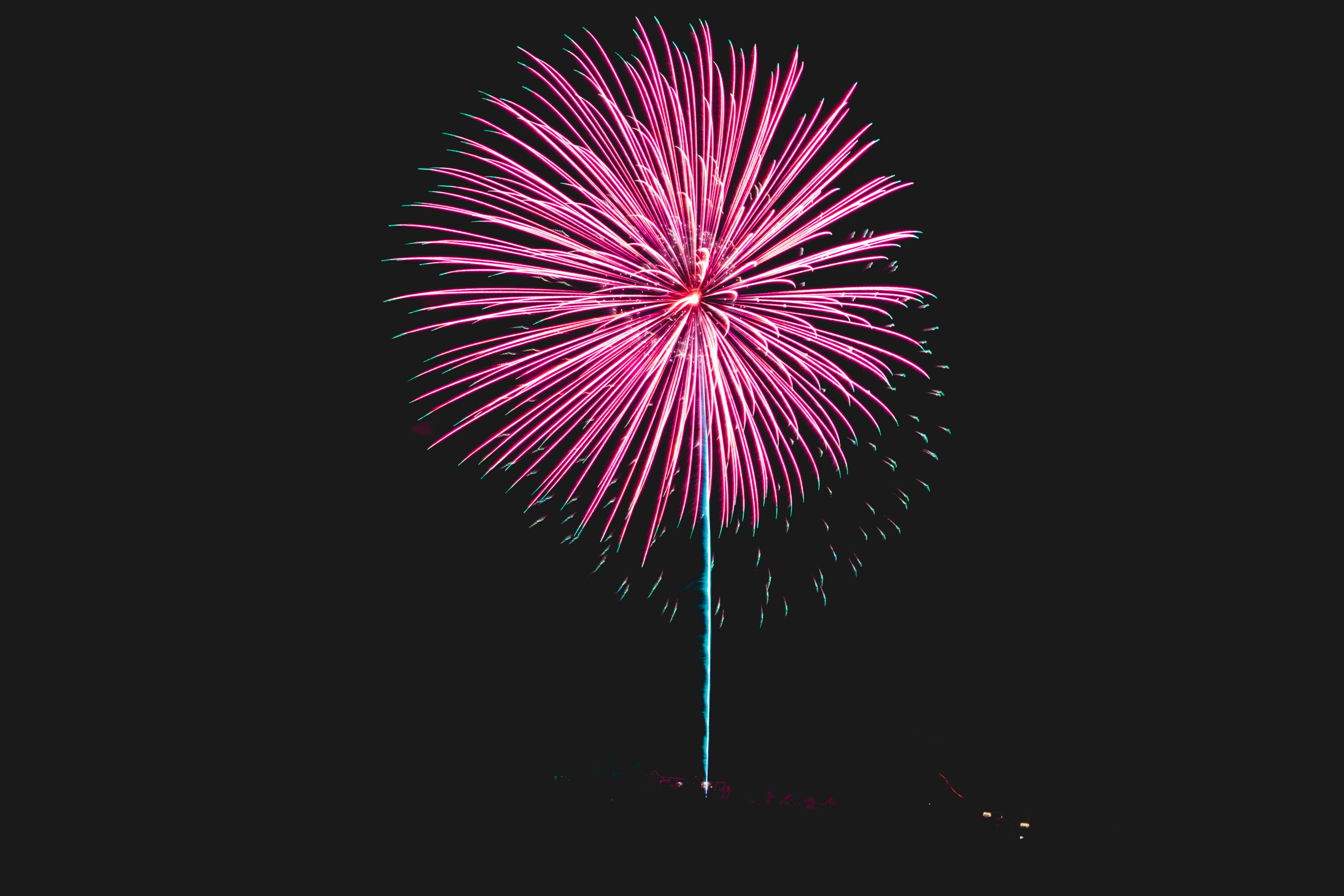 close-up of pink fireworks